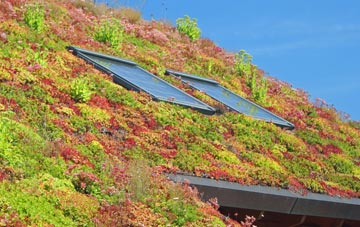 Kalnakill living roof systems