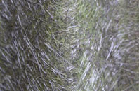 Kalnakill fibreglass roof work